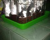 Foto langkah ke 4 dari resep Puding sedot.