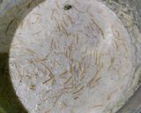 A picture of step 2 of Semolina and Sooji Kheer.