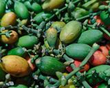 Foto langkah ke 13 dari resep Sayur Lodeh Pedas Cabe Gendot.