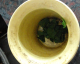 Foto del paso 1 de la receta: Mate Menta-Limón