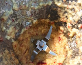 Foto del paso 1 de la receta: Dulce de caqui y manzana 🍎🥄 en Mambo Cecotec