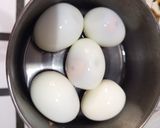 Foto langkah ke 1 dari resep Opor Daging & Telur.