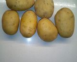 Foto del passaggio 1 della ricetta Polpette di carciofi e patate