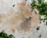 Foto langkah ke 2 dari resep Baso Aci a.ka Cilok Goang.