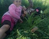 صورة لخطوة 2 من وصفة طمينة بالفول