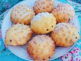 Roti Goreng Landak
