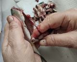 Foto del paso 2 de la receta: Cómo limpiar y congelar sardinas