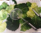 Foto del passaggio 1 della ricetta Timballo di tagliatelle e verza