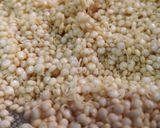 Foto del paso 1 de la receta: Rejuvelac de quinoa