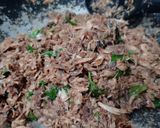 Foto langkah ke 4 dari resep Nasi Bakar Tongkol.
