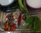Foto langkah ke 1 dari resep Sayur lodeh kacang & terong enakkk 😘😘.
