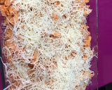Foto del paso 7 de la receta Macarrones gratinados