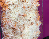 Foto del paso 7 de la receta: Macarrones gratinados