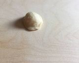 A picture of step 8 of Hand made orecchiette and cavatelli pasta: how to make them.