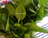 A picture of step 1 of Bitter leaf Soup(Miyar Shuwaka).