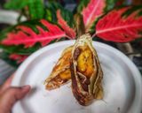 Foto langkah ke 4 dari resep 464 - Kebab Piscok (42-).