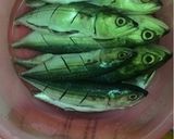 Foto langkah ke 1 dari resep Ikan goreng kuning.