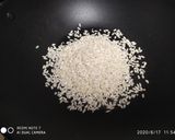 Foto del passaggio 3 della ricetta Risotto alla crema di peperoni,e cialde di parmigiano