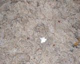 صورة لخطوة 3 من وصفة طمينة لذيذة