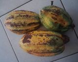Foto langkah ke 1 dari resep Mengolah Buah Coklat Menjadi Choco Bar.