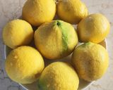 Foto del passaggio 1 della ricetta Marmellata di limone 🍋
