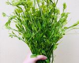 Hình bước làm 1 của món Rau bò khai xào tỏi