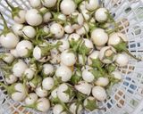 Hình bước làm 1 của món Cà pháo muối xổi!