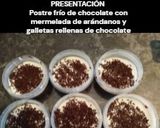 Foto del paso 11 de la receta: Postre frío de chocolate con mermelada de arándanos y galletas rellenas de chocolate