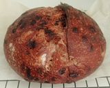 Foto langkah ke 22 dari resep Double Chocolate Sourdough Bread (82%).