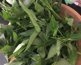 Hình bước làm 1 của món Nộm rau muống