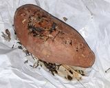 Foto del paso 4 de la receta: Boniato al horno