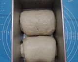 Foto langkah ke 7 dari resep (Sourdough Discard) Roti Tawar kental manis.