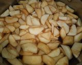 Foto del paso 1 de la receta: Jugo de manzanas cocidas