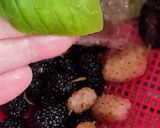 Foto del paso 2 de la receta: Agua de moras y albahaca 🌱 Agua saborizada y refrescante de moras blancas y negras con albahaca 🌱