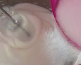 Foto del paso 3 de la receta: Besos de merengue
