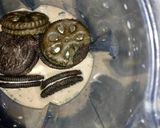 Foto langkah ke 2 dari resep Bolu kukus oreo.