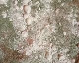 A picture of step 1 of Shahi Chat masala.