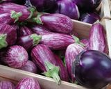 Une image de l'étape 1 de 🥫conserve sucrée 🍒🍓ou 🫑🌶️salée 🌿.