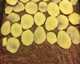 A picture of step 1 of Kofta Casserole.