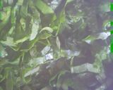 A picture of step 3 of Palak kadhi.