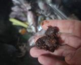 Foto langkah ke 2 dari resep Tumis Cumi Hitam.