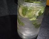 Cucumber & Mint mocktail recipe step 2 photo
