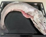 Foto del paso 1 de la receta: Merluza austral rellena al horno