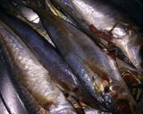 Foto langkah ke 1 dari resep Ikan Bakar Bumbu Khas Padang🐟🐟🐟.