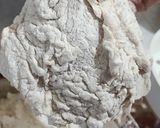 Foto langkah ke 9 dari resep Ayam Goreng Tepung ala KFC.