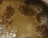 Foto del paso 2 de la receta: Mousse de chocolate