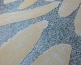Foto del paso 4 de la receta: Fideos caseros