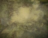 Foto del paso 8 de la receta: Guiso de zapallo italiano especial
