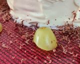 Foto del paso 18 de la receta 202. Tarta de galletas en flor