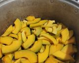Foto langkah ke 1 dari resep Pumkin Ball Cheese Felling.